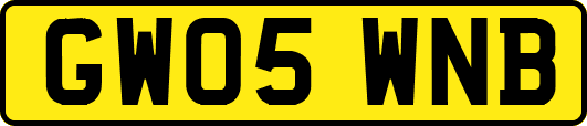 GW05WNB
