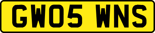 GW05WNS