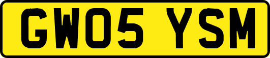 GW05YSM
