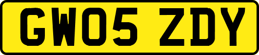 GW05ZDY