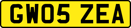 GW05ZEA