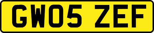 GW05ZEF