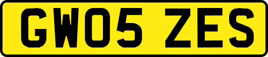 GW05ZES