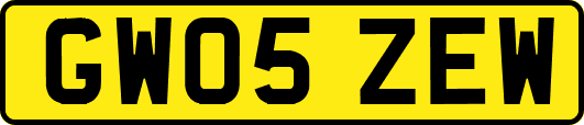 GW05ZEW