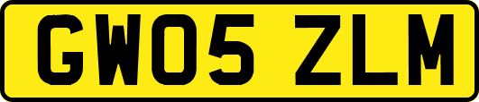 GW05ZLM