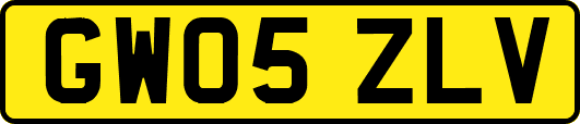 GW05ZLV