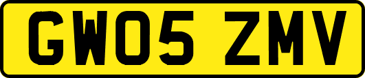 GW05ZMV