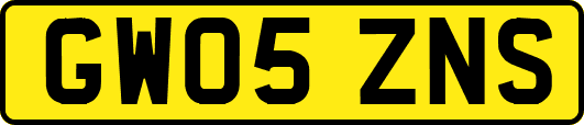 GW05ZNS