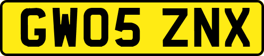 GW05ZNX