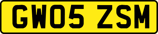 GW05ZSM