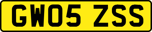 GW05ZSS