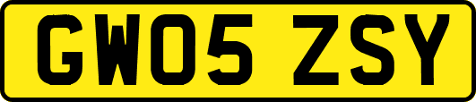 GW05ZSY