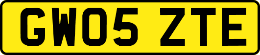 GW05ZTE