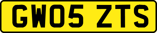 GW05ZTS