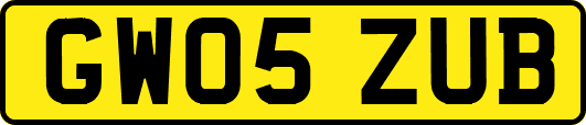 GW05ZUB