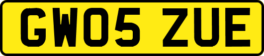 GW05ZUE