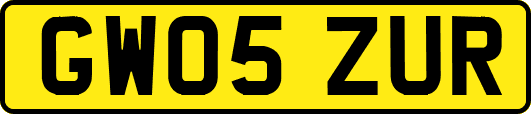 GW05ZUR