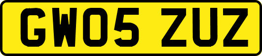 GW05ZUZ