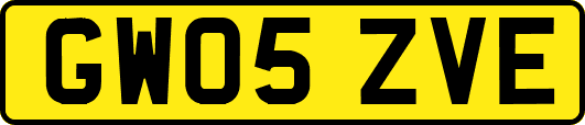 GW05ZVE