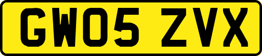 GW05ZVX