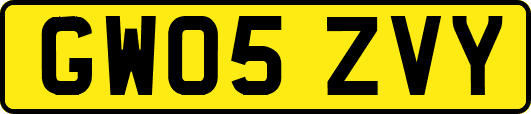 GW05ZVY