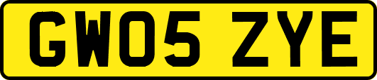 GW05ZYE