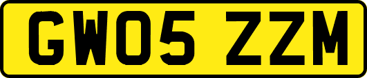 GW05ZZM
