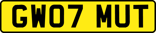 GW07MUT