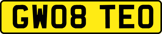 GW08TEO