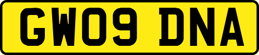 GW09DNA