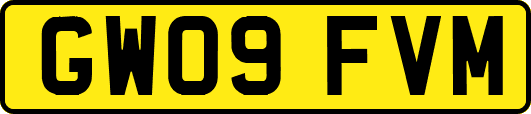 GW09FVM