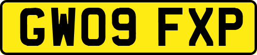 GW09FXP