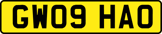GW09HAO