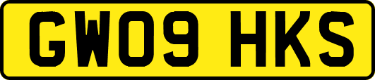 GW09HKS
