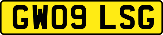 GW09LSG
