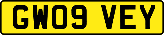 GW09VEY