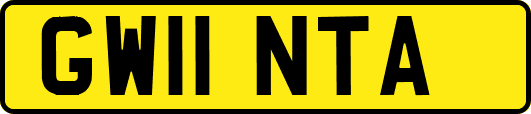 GW11NTA