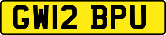 GW12BPU