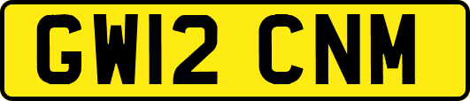 GW12CNM