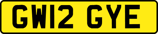 GW12GYE