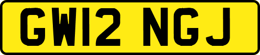 GW12NGJ