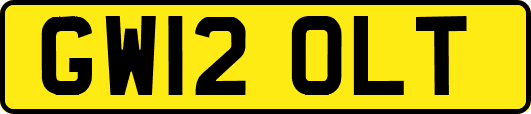 GW12OLT