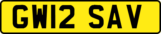 GW12SAV