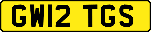 GW12TGS