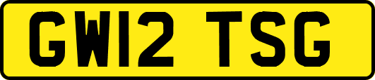 GW12TSG