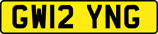 GW12YNG