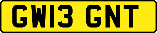 GW13GNT