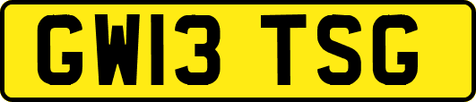 GW13TSG