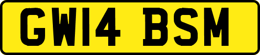 GW14BSM