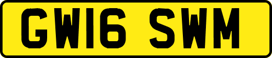 GW16SWM